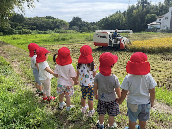 キララかわわだナーサリー2025/09 稲刈りの見学